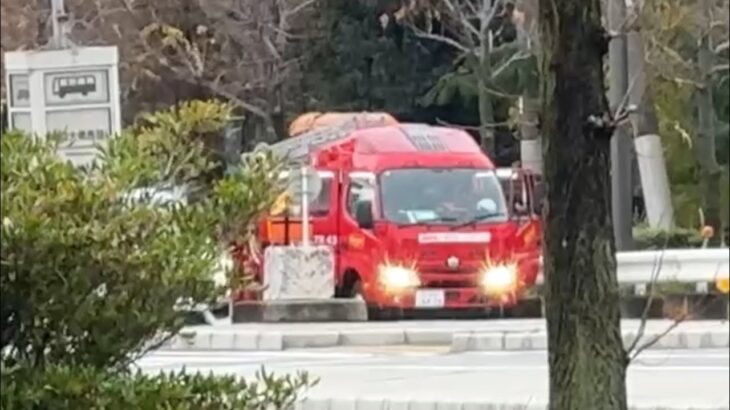 🚨響き渡るサイレン🚨消防車🚨　#消防車