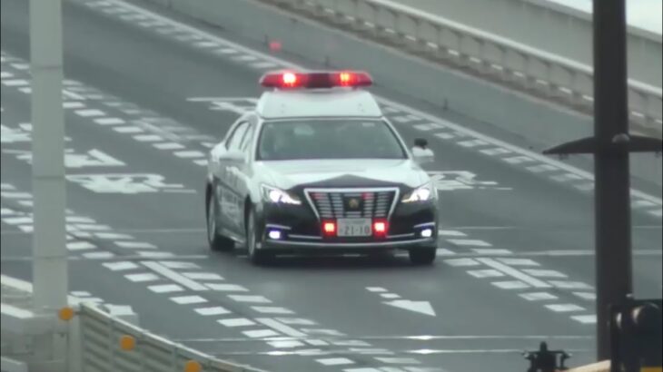 🚨まるで映画のワンシーン🚨パトカーの格好いい緊急走行🚨響き渡るサイレン🚨　#パトカー　#大阪府警