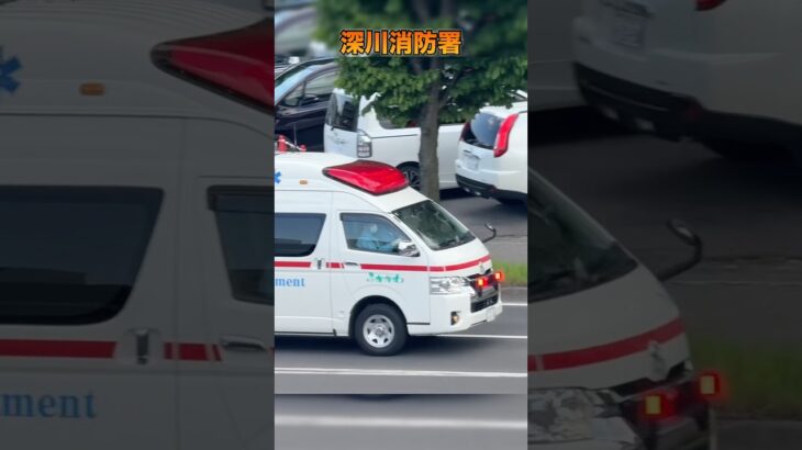 【緊急走行】救急車!深川消防署#緊急走行#救急車#深川消防署