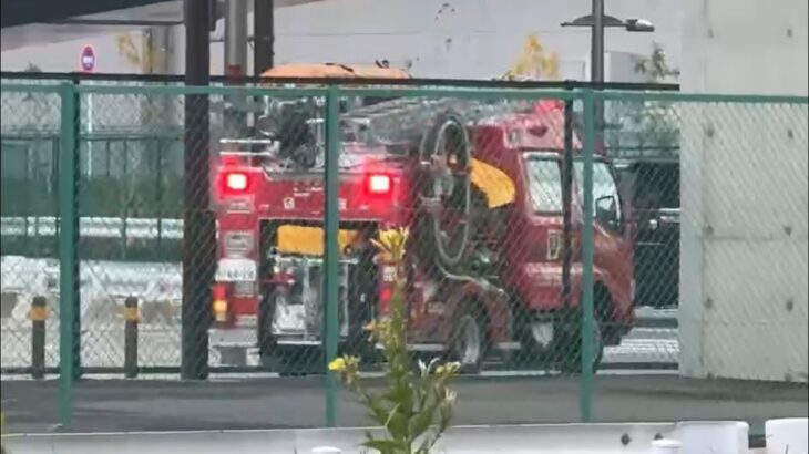 🚨響き渡るサイレン🚨消防車🚨緊急走行🚨　#消防車