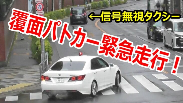 信号無視にならない？一瞬歩行者になるスクーターの妙技！迷いも無く左折したタクシーは、白アス覆面パトカーの緊急走行で信号無視で検挙される