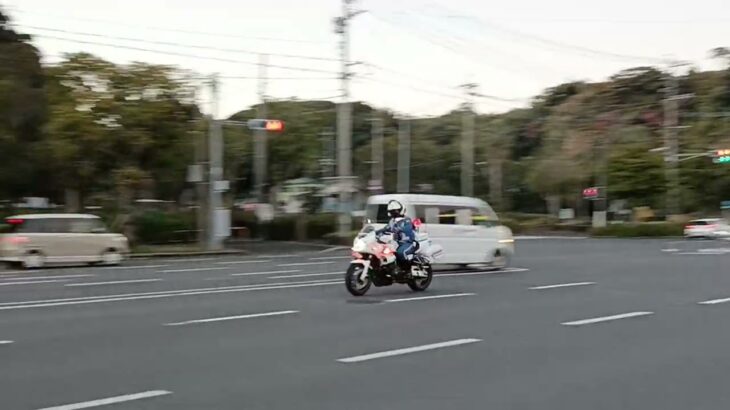 【緊急走行】鹿児島県警察白バイ