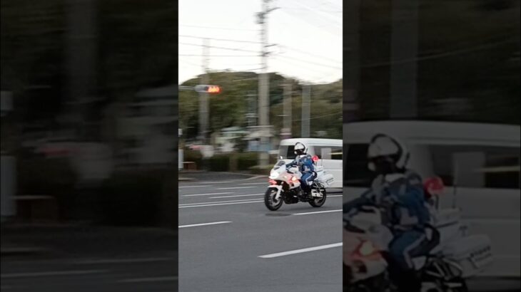 【緊急走行】鹿児島県警察白バイ