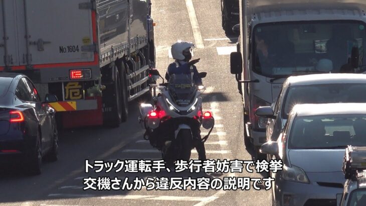 【僅か数秒の違いで明暗が分かれた取締り！】トラックが横断歩道を減速すらせずに通過した結果、歩行者妨害で白バイに検挙された瞬間！