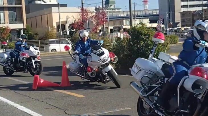 🚨白バイのテクニックが凄い🚨白バイ🚨白バイ隊員🚨兵庫県警🚨