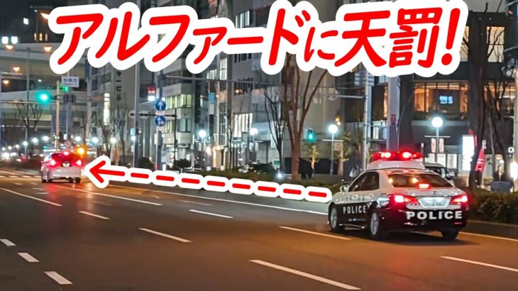 自覚無いのに素直過ぎる左寄せ…信号無視のアルファードに天罰！＋身勝手過ぎて見るほど呆れる！迷惑千万タクシーにお咎め！【パトカーによる取り締まり】