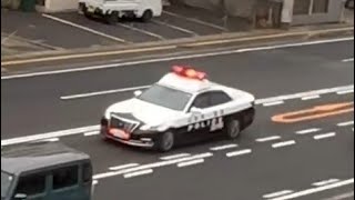 パトカー　緊急走行
