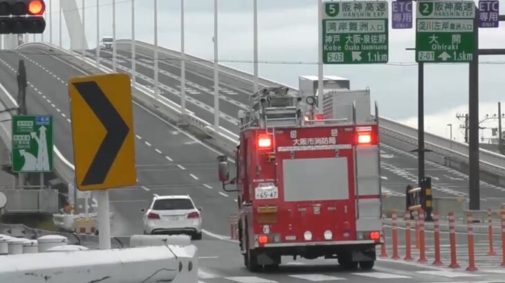 🚨赤信号を緊急走行で突入🚨消防車🚨響き渡るサイレン🚨　#消防車