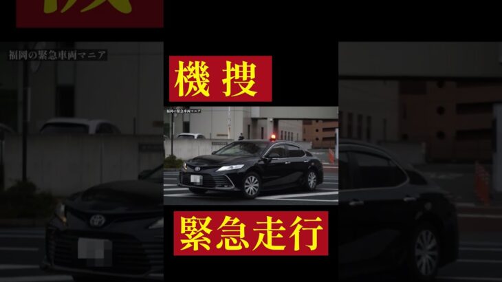 【緊急走行】北九州市警察部 機動捜査・特別遊撃班 かむり緊急走行！