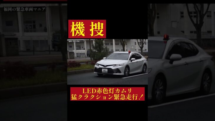 福岡県警察 北九州市警察部 機動捜査・特別遊撃班 白カムリ覆面パトカー 緊急走行シーン
