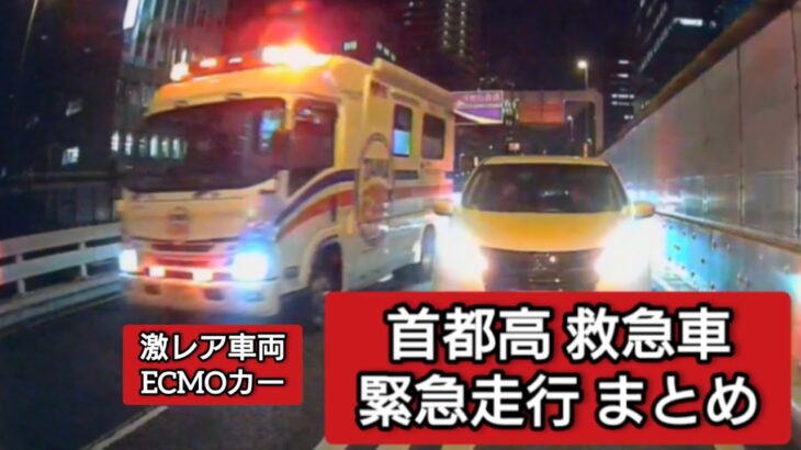首都高 救急車 緊急走行まとめ #ドラレコ #ドライブレコーダー #緊急車両 #緊急走行 #東京消防庁 #救急車 #ドクターカー