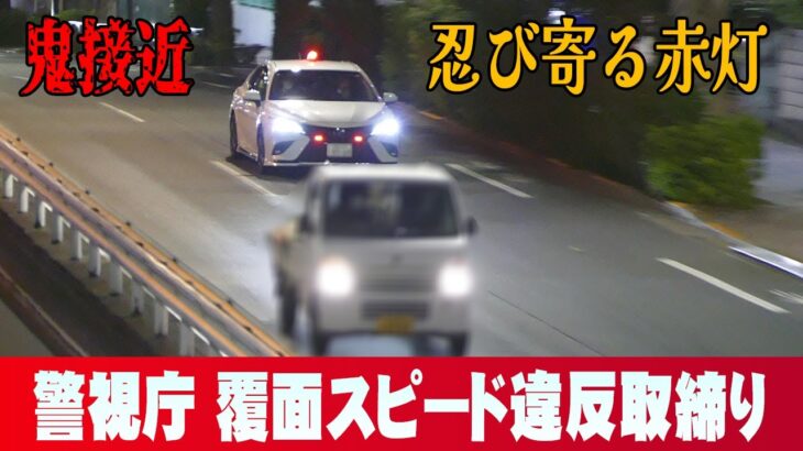 【速度取締り】警視庁（東京都）の覆面パトカーは台数がエグイ！※覆面の見分け方を簡単に解説