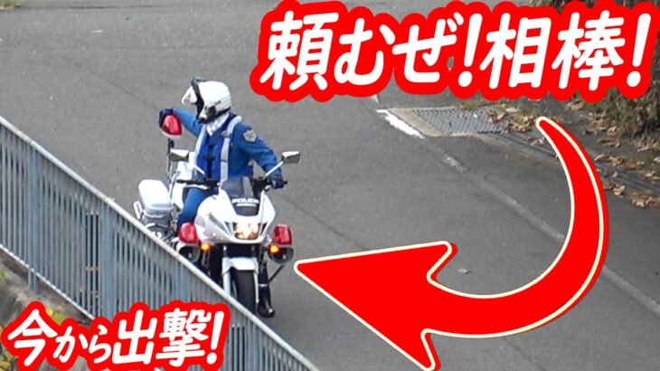 今から相棒と出撃！スピード違反のリーフを検挙の瞬間！【白バイによるスピード違反取り締まり】