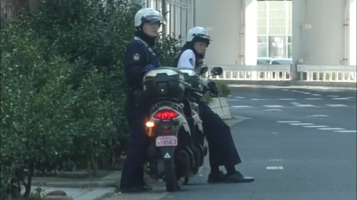 🚨道路で目を光らせる👀警察官二人🚨兵庫県警🚨