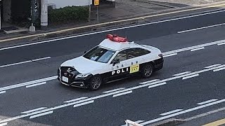 パトカー　緊急走行