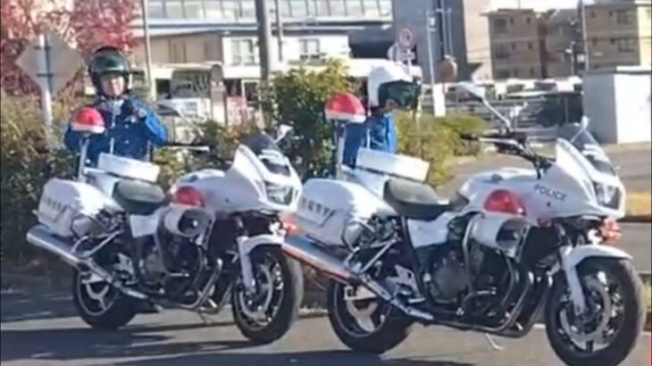 🚨白バイ隊員🚨白バイ🚨兵庫県警🚨