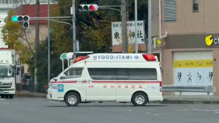 🚨赤信号の交差点を緊急走行🚨救急車🚨響き渡るサイレン🚨伊丹市消防局🚨