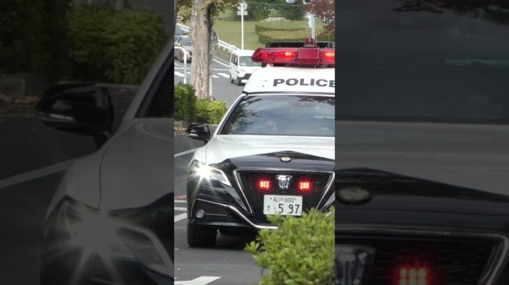 「青信号を左に曲がります！」千葉県警察所轄パトカーによるキレッキレな緊急走行！！