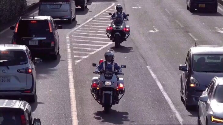 黄色実線のセンターラインもお構いなしで反対車線にハミ出し見通しの悪い横断歩道も加速しながら突破した危険なデミオが歩行者妨害で白バイに検挙される瞬間!