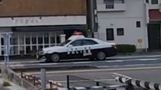 パトカー　緊急走行