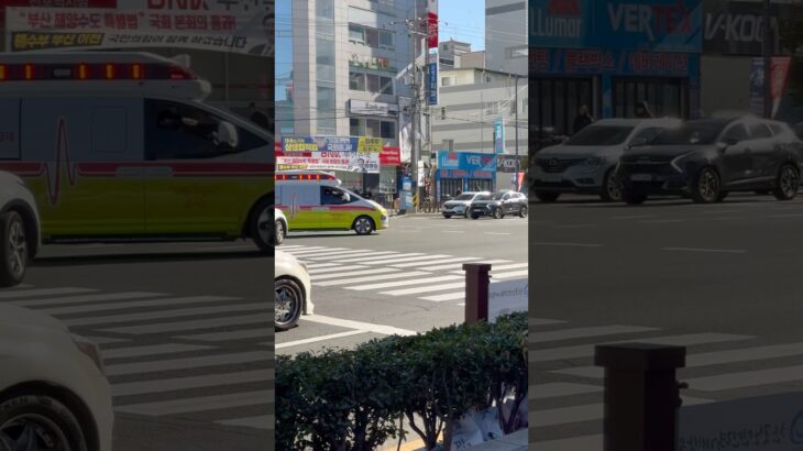 最大音量のサイレンで現場から出発する韓国の救急車(wail+補助サイレンyelp)#救急車 #韓国 #緊急出動 #緊急車両 #緊急走行 #119 #korea #ambulance #구급차 #출동
