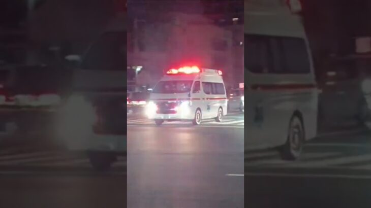 【緊急走行】指宿南九州消防組合南九救急1