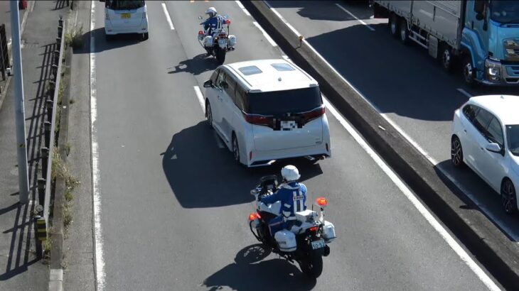 検挙の瞬間10連発！！！ロードバイクの一時不停止には無関心な警察官とミニバンの殺人的ノーブレーキ・死角で全く見えない横断歩道をnon stopで走り抜けた危険なアルファードに2台の白バイ反応・飲酒検問