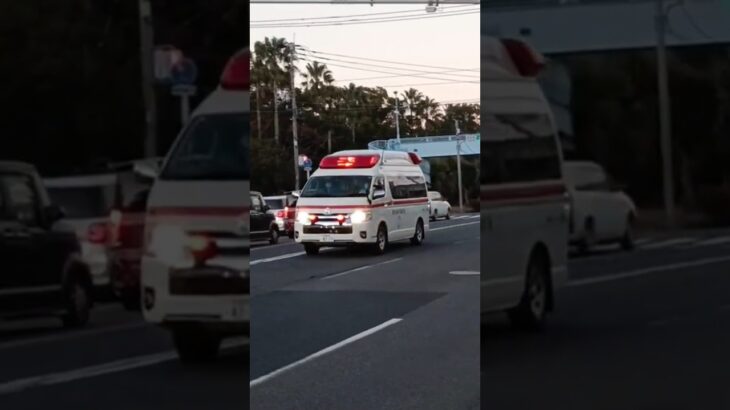 【緊急走行集118】鹿児島市消防局救急車等