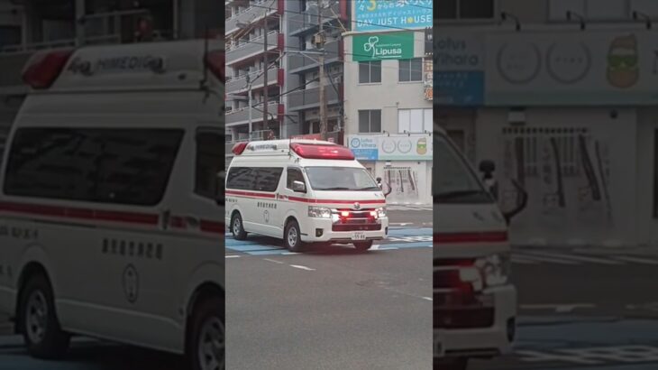 【緊急走行集119】鹿児島市消防局救急車等