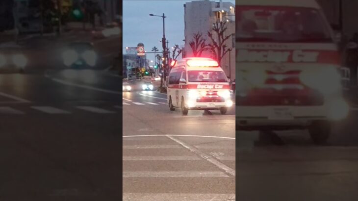 【緊急走行集120】鹿児島市消防局ドクターカー等