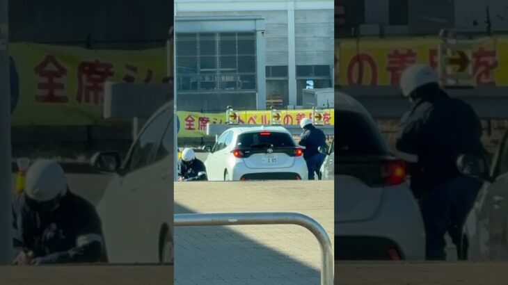 🚨違反車2台を捕まえた警察官🚨兵庫県警🚨　#警察官 #shorts #short