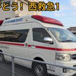 約20年お疲れ様、引退の1年前～引退まで