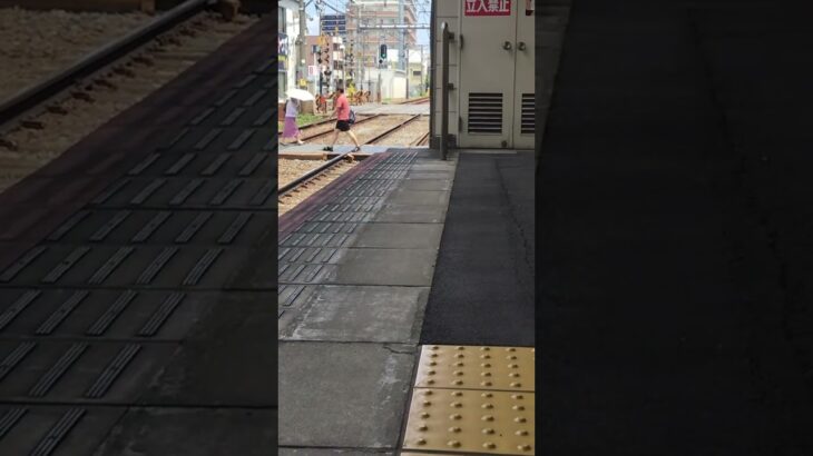 救急車が踏切で緊急走行🚨🦺 #鉄道 #2700系 #train #貸し切り特急 #回送列車 #電車 #9820系 #e231系0番台 #railway #automobile