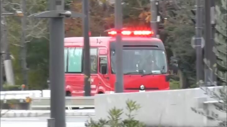 🚨何が起こった❓消防車両3台と救急車が緊急走行🚨響き渡るサイレン🚨大阪市消防局🚨　#消防車 #救急車