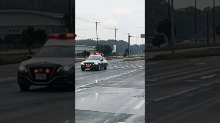 【緊急走行】鹿児島県警察地域課南6
