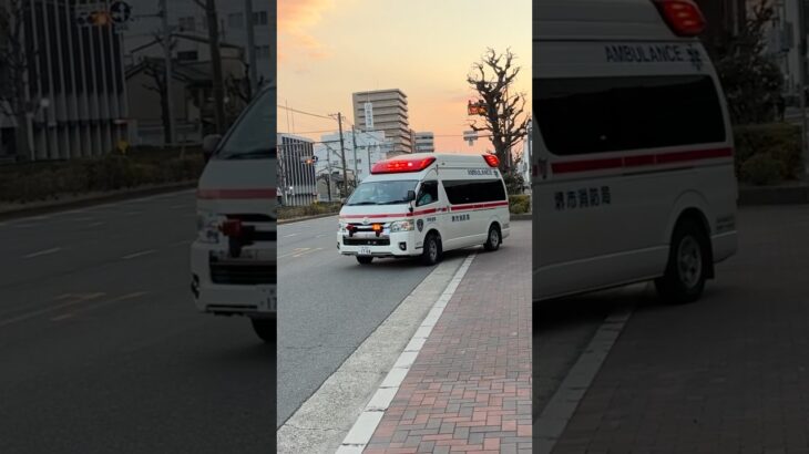 【緊急走行】 堺救急隊、救急指令！A173緊急走行！！【堺市消防局】#shorts  #緊急走行 ＃消防車 #救急車 #emergency #fire #救急車＃サイレン