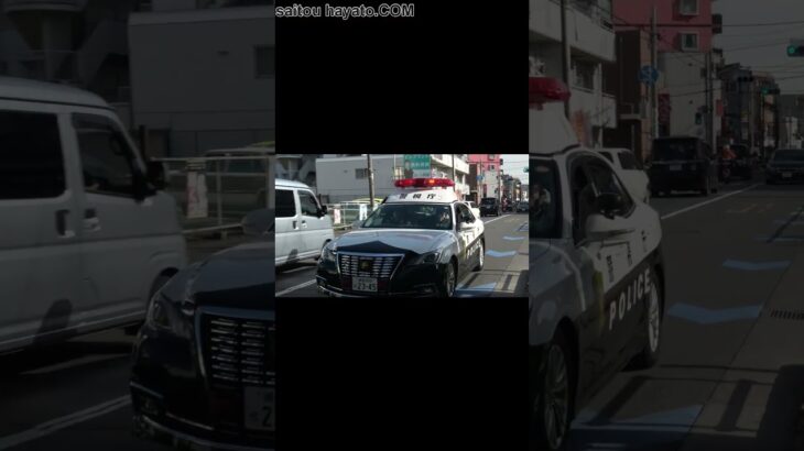 【緊迫の緊急走行】人身事故現場へ臨場するパトカー!!Hang in there, patrol car!!