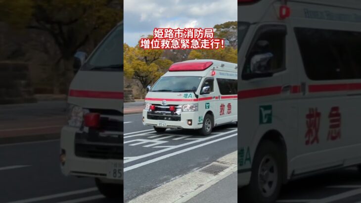 【姫路市消防局】増位救急緊急走行！リモートサイレンを響かせろ！サイレンアンプ：MK-D1#姫路市消防局#救急車#救急救命士#救急#緊急走行#緊急車両#緊走#サイレン#赤色灯#増位救急#おすすめ#バズれ