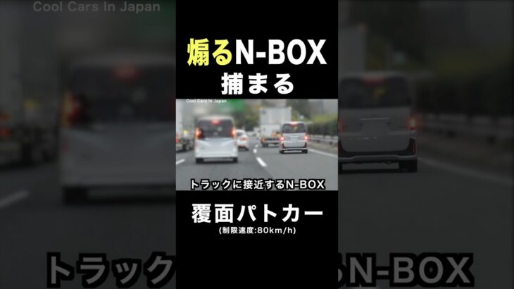 煽り気味のN-BOXに天罰⁉️ 覆面パトカーに捕まる‼️ #shorts