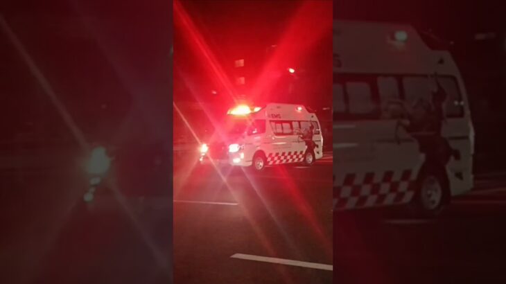 【緊急走行】TCD搭載!日置市消防本部日消救急1