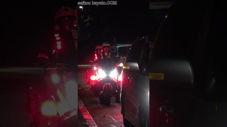 夜明け前の白バイが綺麗すぎる!!The white police bike before dawn is too beautiful