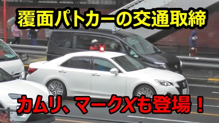 場所取りは順番に！白アス、カムリ、マークXが信号無視を交通違反車を緊急走行で取締る