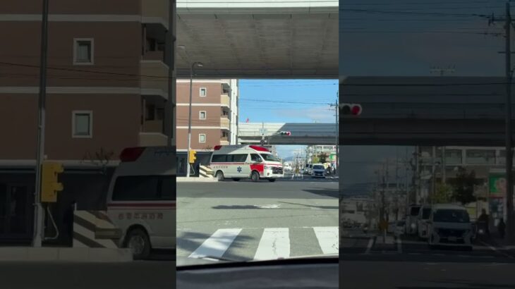 🚨救急車🚨帰還シーン🚨西宮市消防局🚨　#救急車 #short #short
