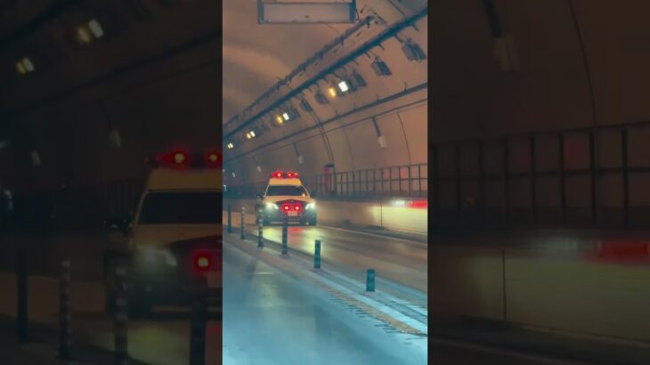 🚨トンネルを出た瞬間のサイレンが凄い🚨パトカー🚨大阪府警🚨 #パトカー #short #shorts