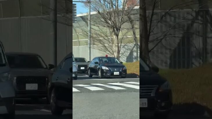 🚨珍しい赤上げシーン🚨覆面パトカー🚨大阪府警🚨 #覆面パトカー #short #shorts