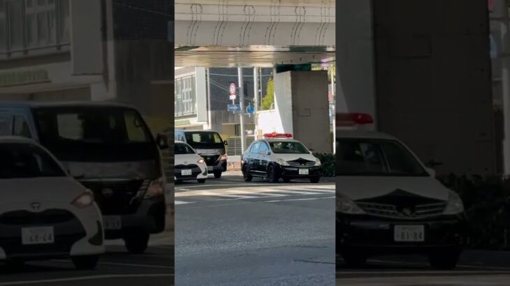 🚨パトカー🚨赤色灯🚨兵庫県警🚨パトロール🚨　#パトカー #short #shorts