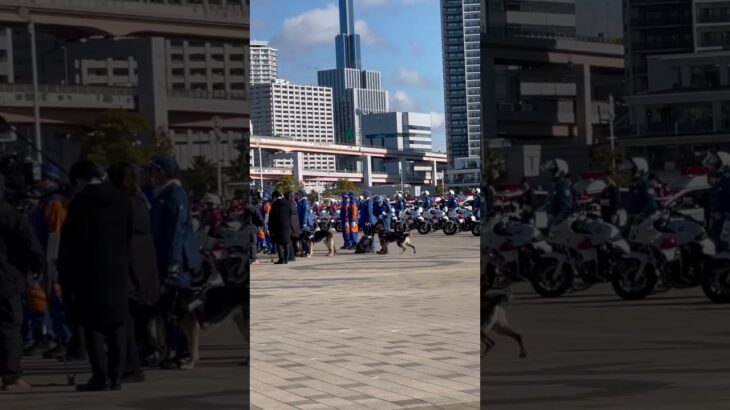 🤣式典でじっとしていられない警察犬がかわいい😂😂😂　#警察犬 #short #shorts