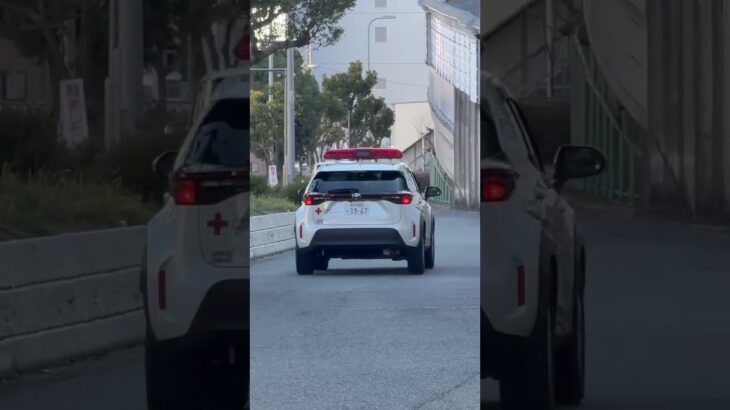 🩸血液輸送車🩸帰還シーン🩸　#血液輸送車　#short #shorts