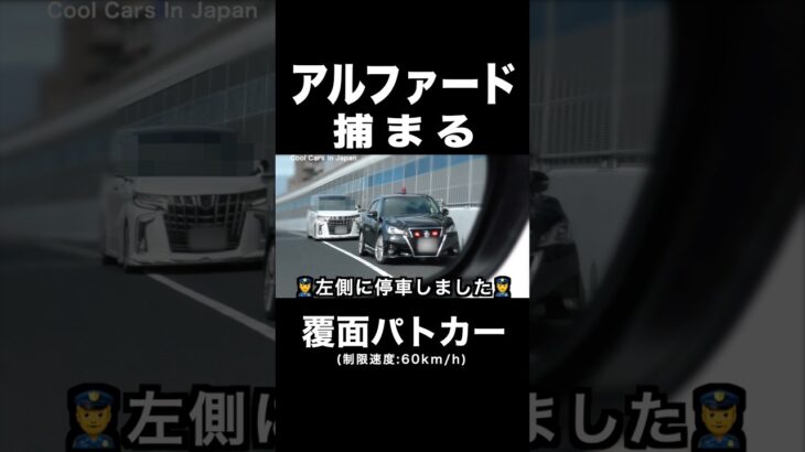 飛ばす『アルファード』が覆面パトカーに捕まる‼️ #shorts