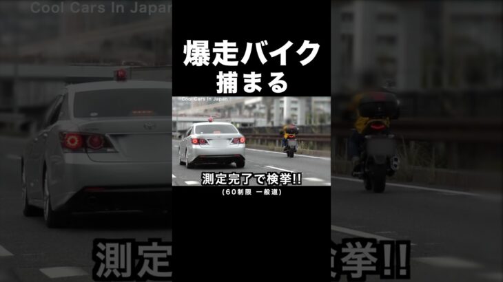 一般道を爆走するバイクが覆面パトカーに捕まる‼️ #shorts